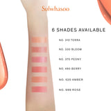 Perfecting Lip Color