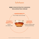 Concentrated Ginseng Rejuvenating Cream