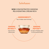 Concentrated Ginseng Rejuvenating Cream Rich