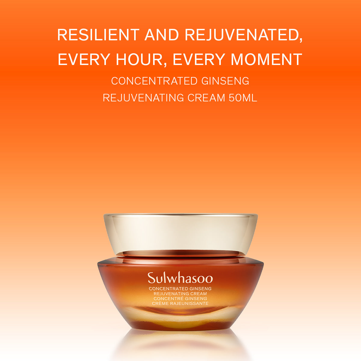 Concentrated Ginseng Rejuvenating Cream
