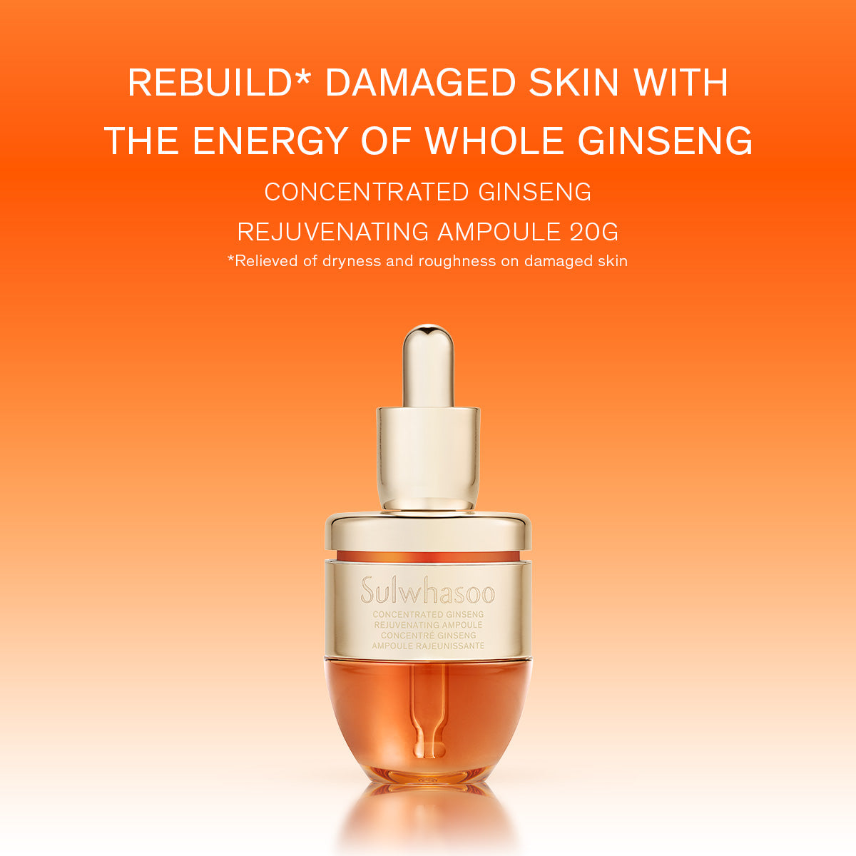 Concentrated Ginseng Rejuvenating Ampoule