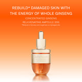 Concentrated Ginseng Rejuvenating Ampoule