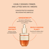 Concentrated Ginseng Rejuvenating Ampoule