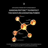 Concentrated Ginseng Rejuvenating Serum