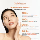 Overnight Recharging Mask 120ml