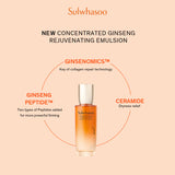 Sulwhasoo Concentrated Ginseng Rejuvenating 2pc Set (Water and Emulsion 125ml) - Suitable for All Skin Types (Worth $389)